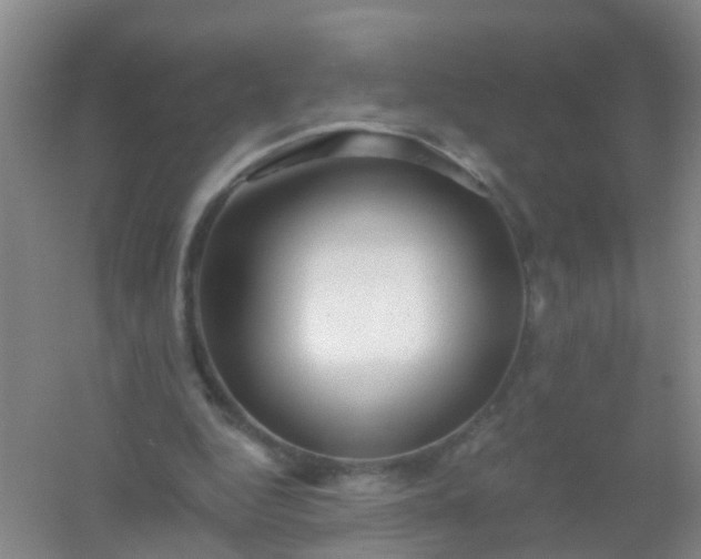 X0000054440344200508121850