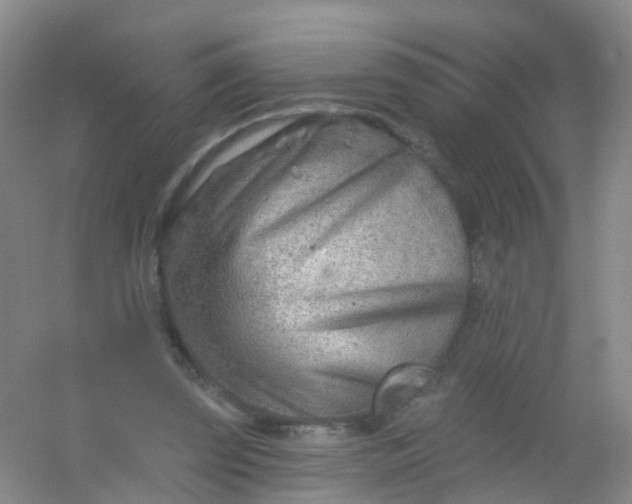 X0000054440347200508121850