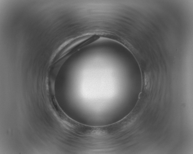 X0000054440348200508121850