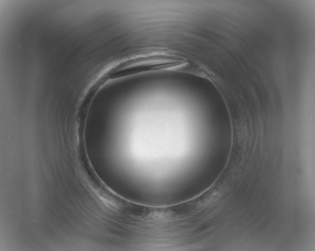 X0000054440350200508121850