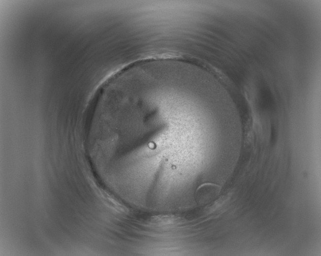 X0000054440351200508121850