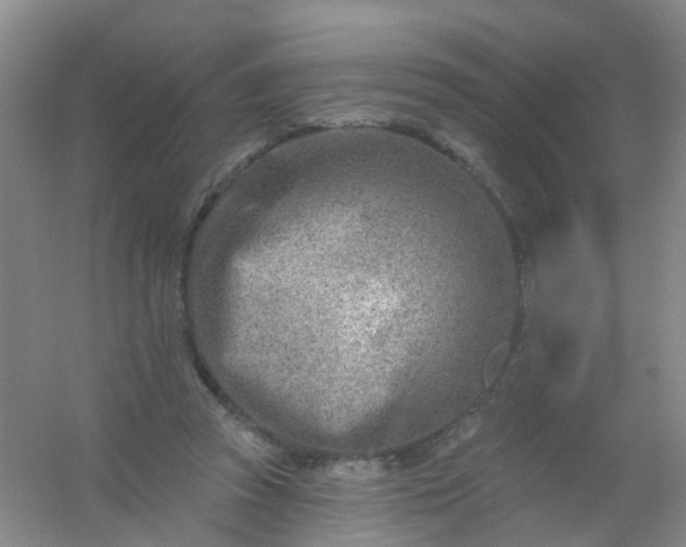 X0000054440353200508121850