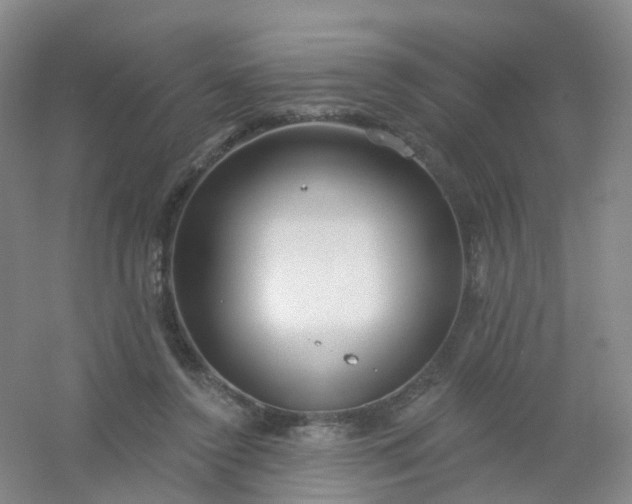 X0000054440356200508121850