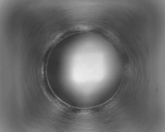 X0000054440358200508121850