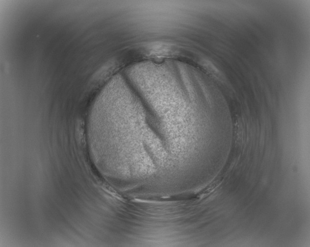 X0000054440361200508121851