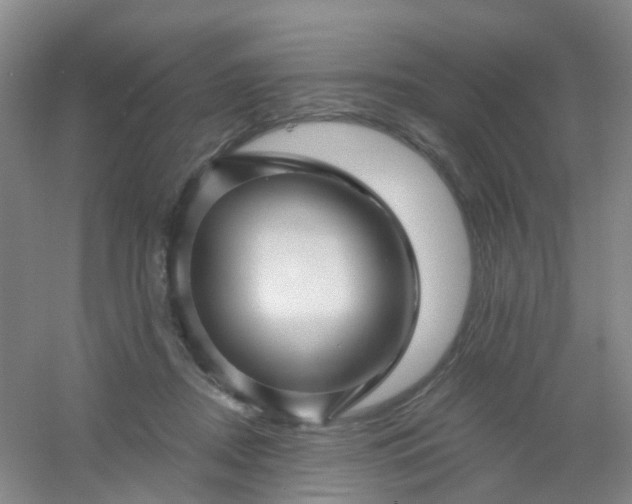 X0000054440362200508121851