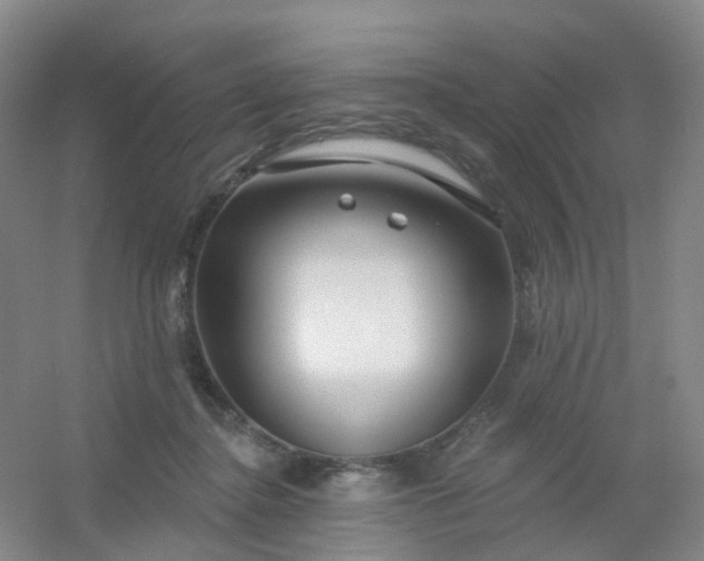 X0000054440364200508121851