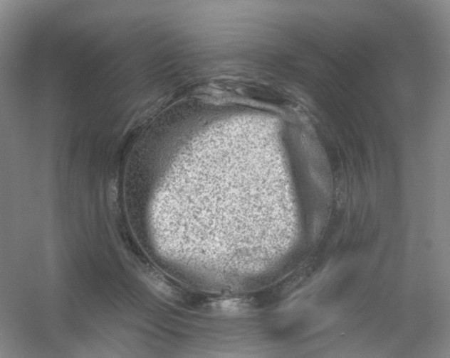 X0000054440365200508121851