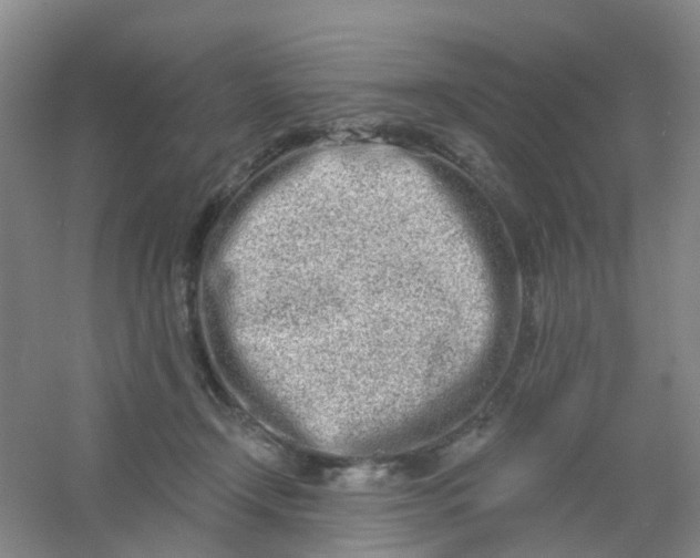 X0000054440366200508121851