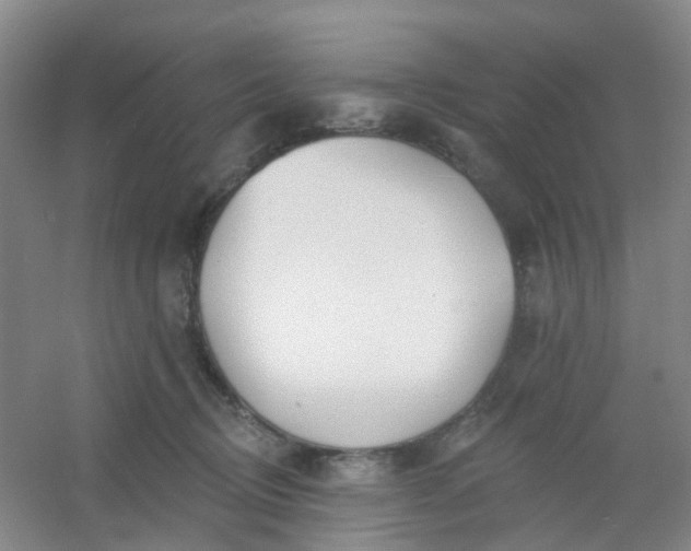 X0000054440370200508121851