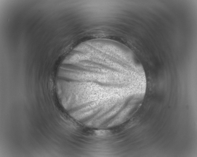 X0000054440371200508121851