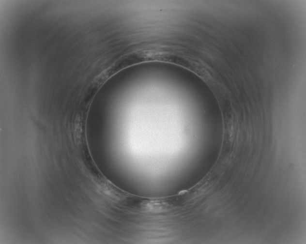 X0000054440372200508121851