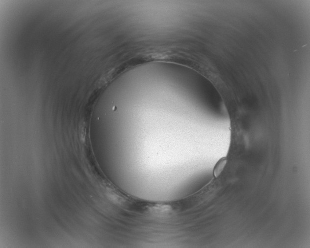 X0000054440374200508121851