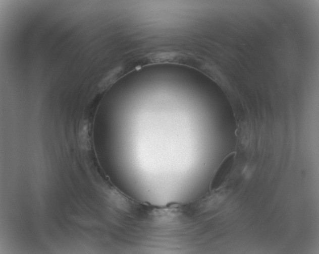 X0000054440378200508121851