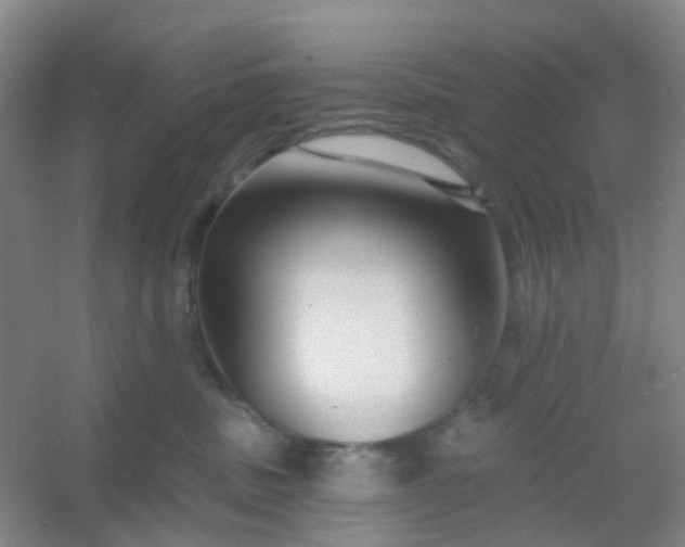 X0000054440379200508121851