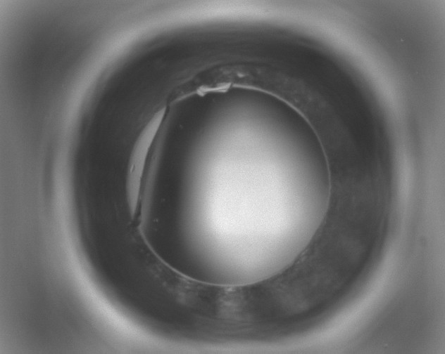 X0000054440382200508121851