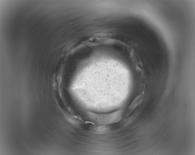 X0000054440383200508121851