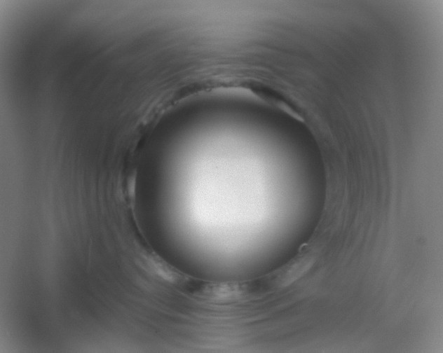 X0000054440384200508121851