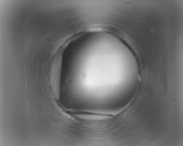 X0000054440385200508121850