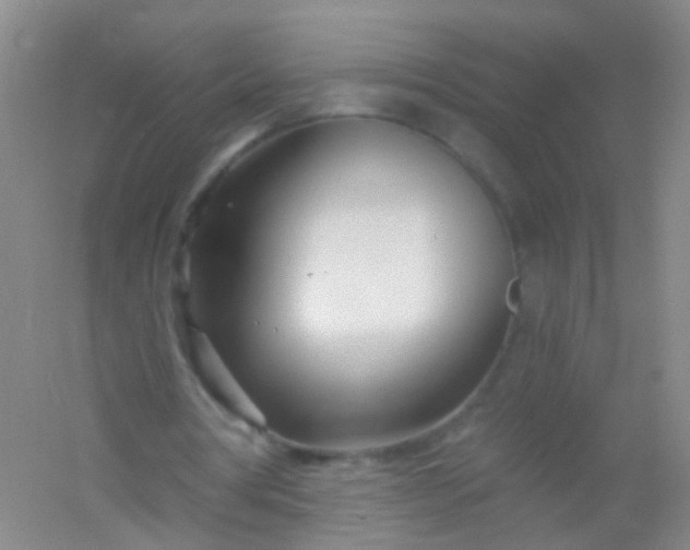 X0000054440386200508121850