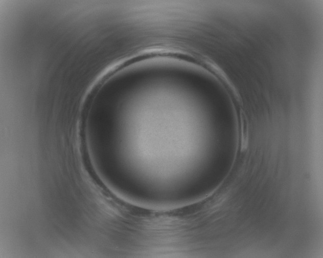 X0000054440387200508121850