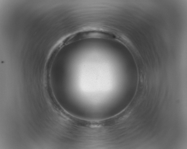 X0000054440388200508121850