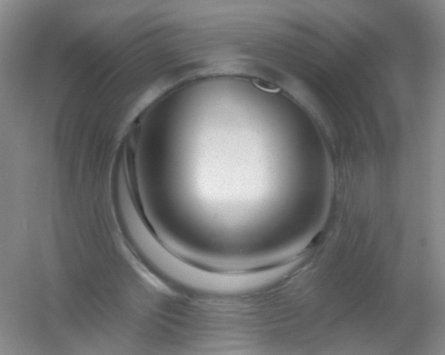 X0000054440389200508121850