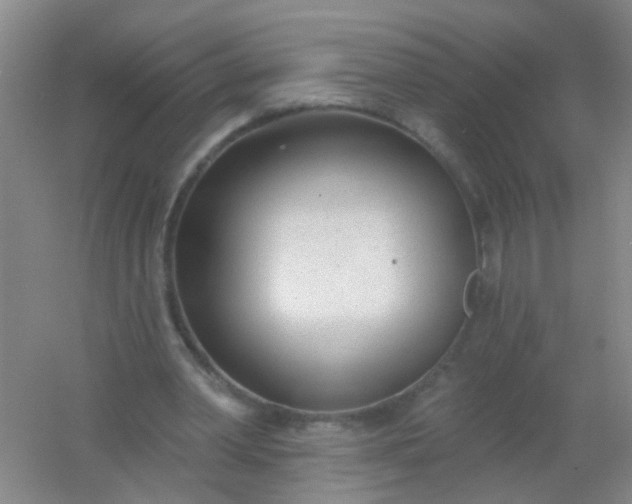 X0000054440390200508121850