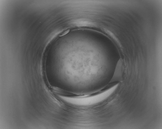 X0000054440391200508121850