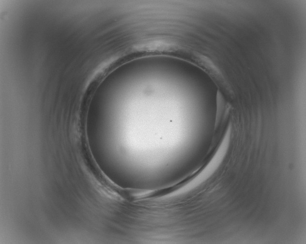 X0000054440392200508121850