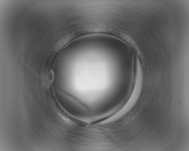 X0000054440393200508121850