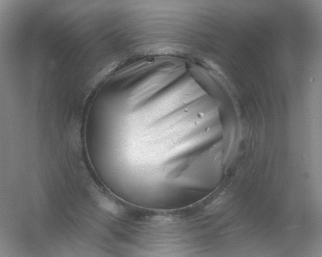 X0000054440394200508121850