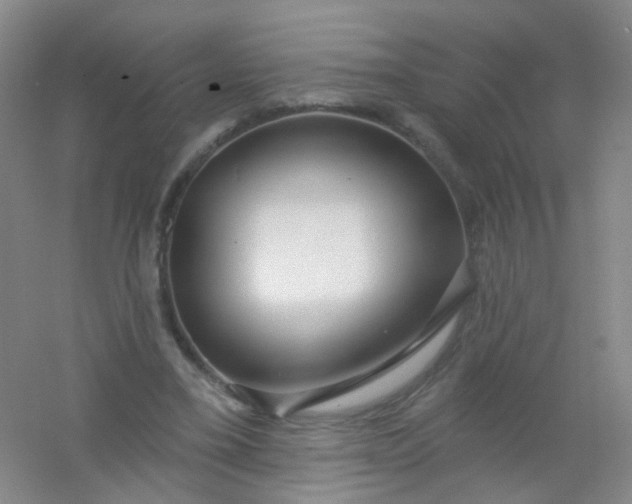 X0000054440395200508121850