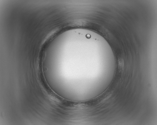 X0000054440396200508121850