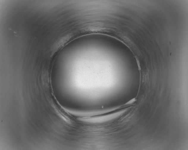 X0000054440397200508121850