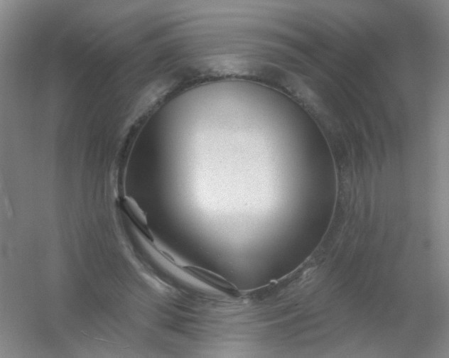 X0000054440398200508121850