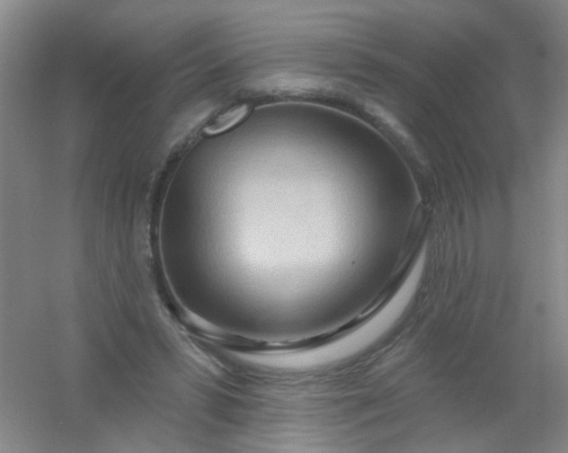 X0000054440399200508121850