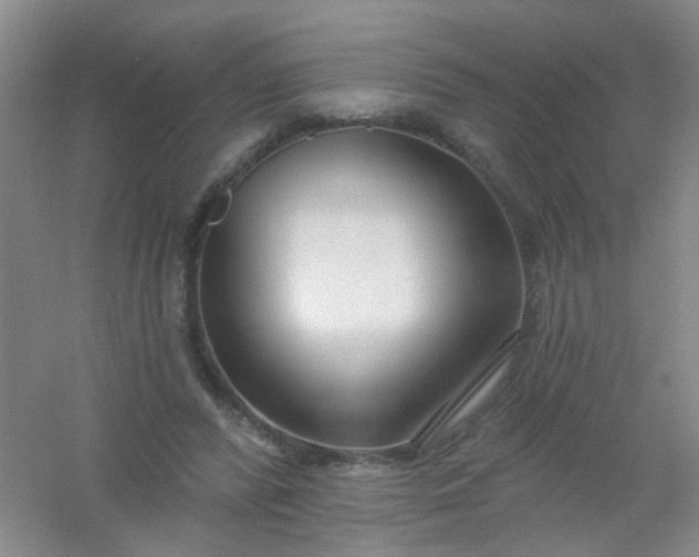 X0000054440400200508121850