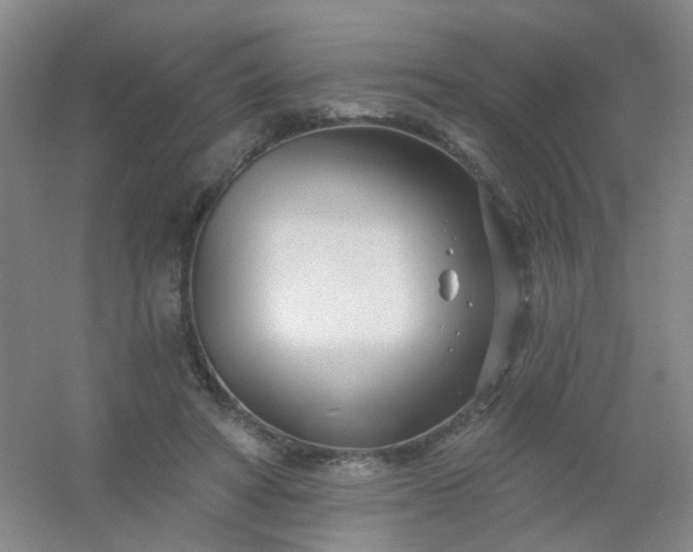 X0000054440402200508121850