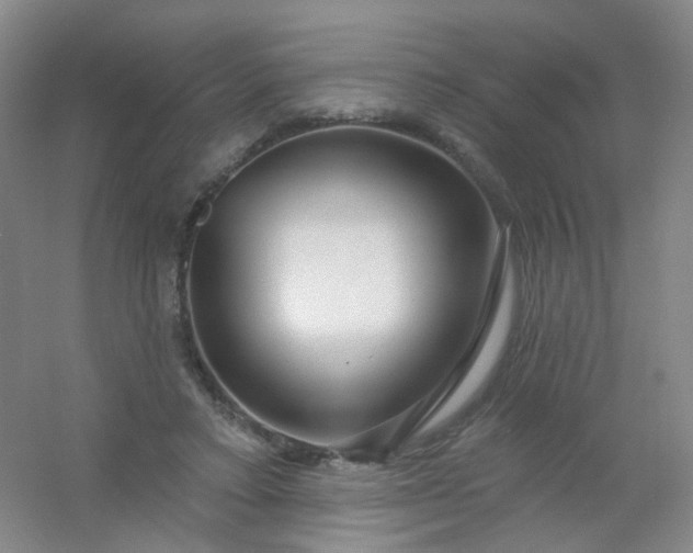 X0000054440403200508121850