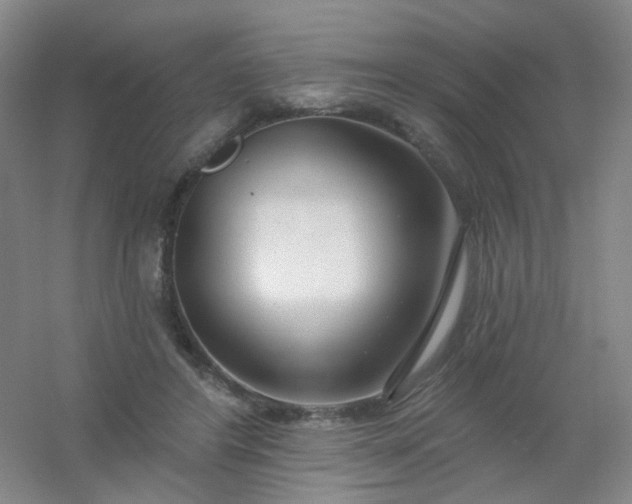 X0000054440404200508121850