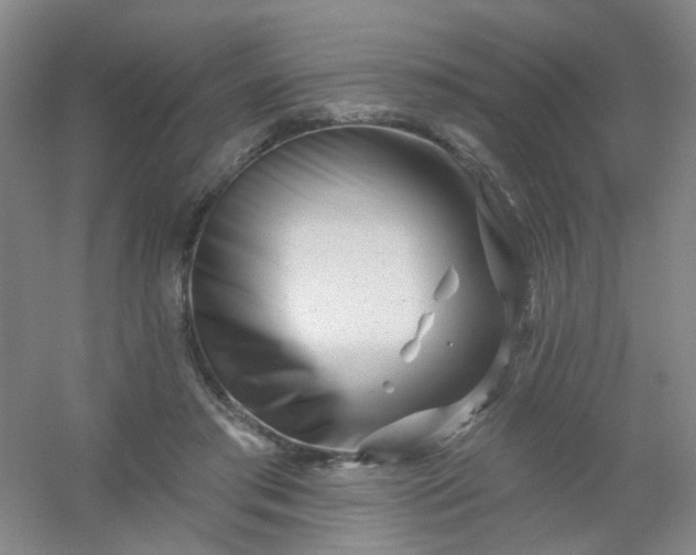 X0000054440405200508121850