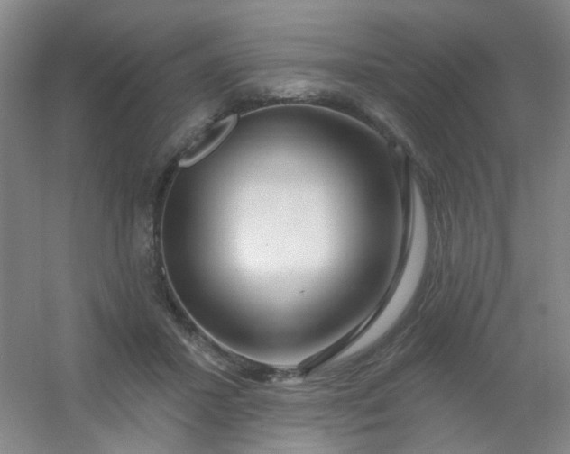 X0000054440407200508121850