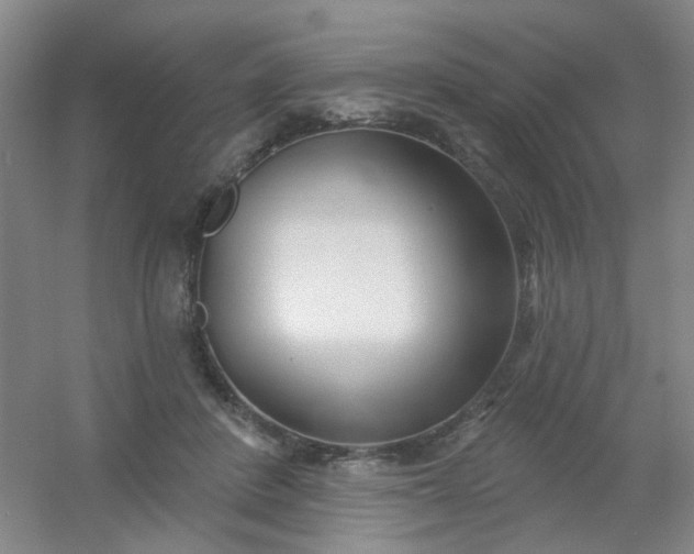 X0000054440408200508121850