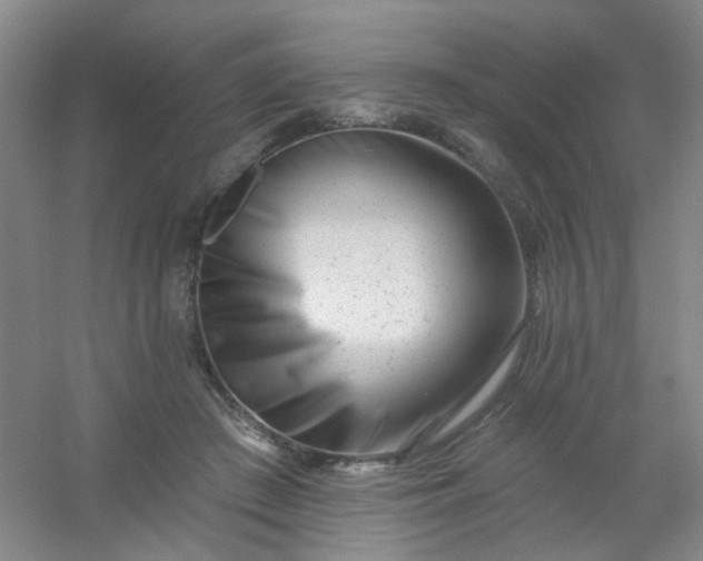 X0000054440409200508121850