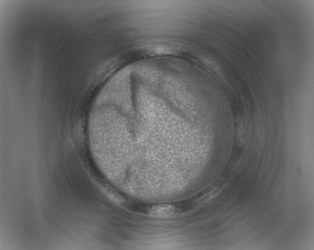 X0000054440410200508121850