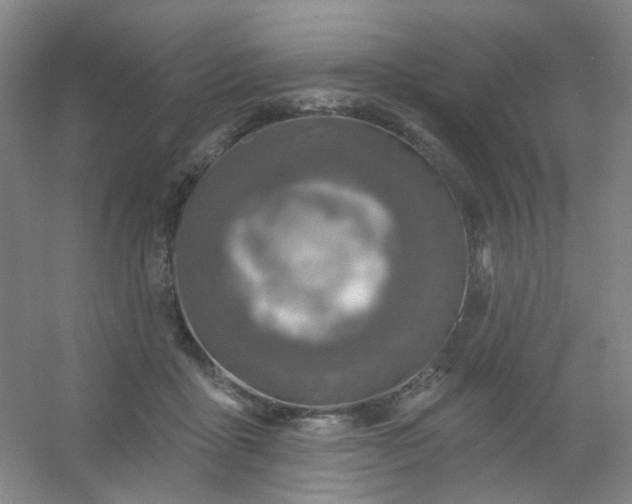 X0000054440411200508121850