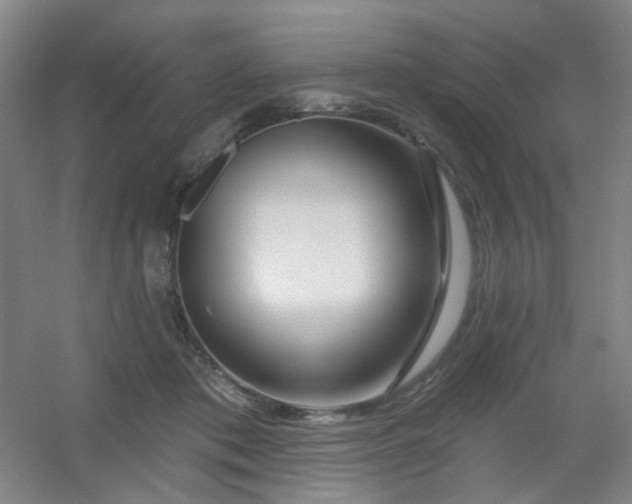 X0000054440413200508121850