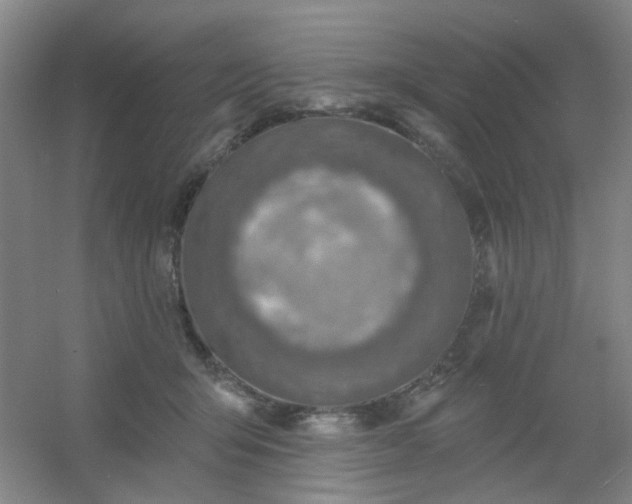 X0000054440415200508121850