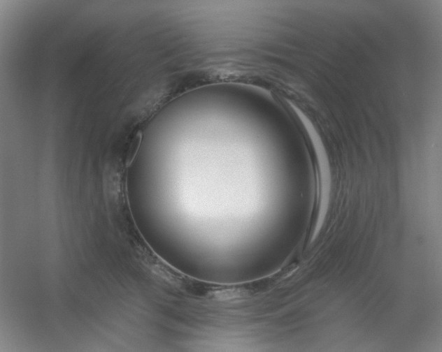 X0000054440417200508121850